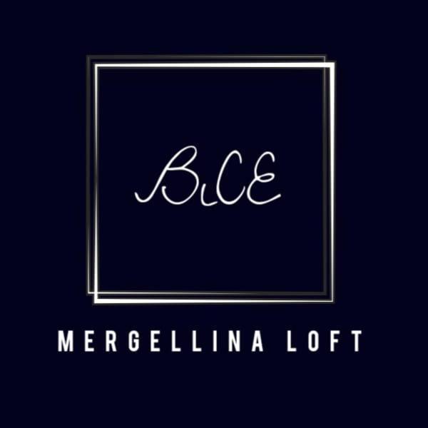 Bice Mergellina Loft * Napels
